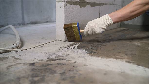 SJ Waterproofing Pros Sump Pump Installation coverage map for Ray, MI and surrounding area